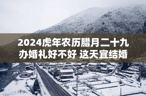 2025蛇年农历腊月二十九办婚礼好不好 这天宜结婚吗