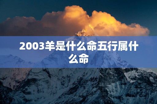 2003羊是什么命五行属什么命