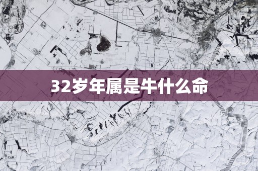 32岁年属是牛什么命