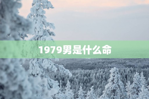 1979男是什么命