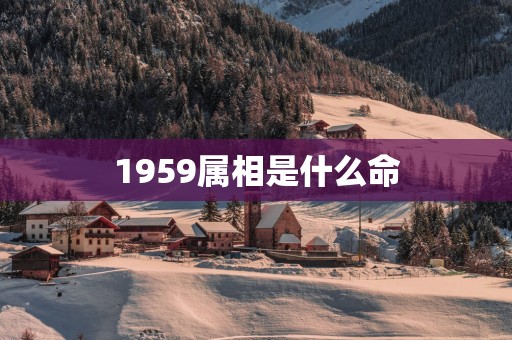1959属相是什么命