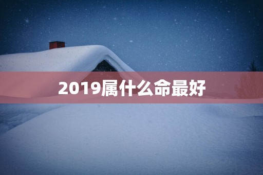2019属什么命最好