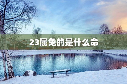 23属兔的是什么命
