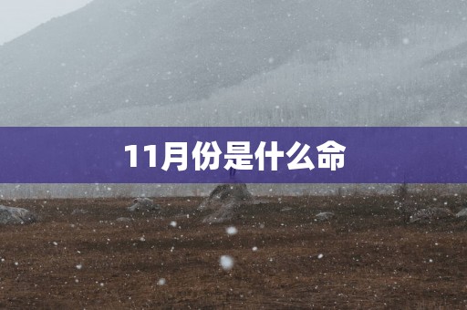 11月份是什么命