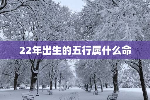 22年出生的五行属什么命