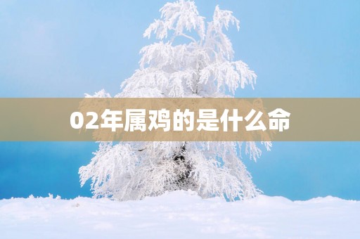 02年属鸡的是什么命
