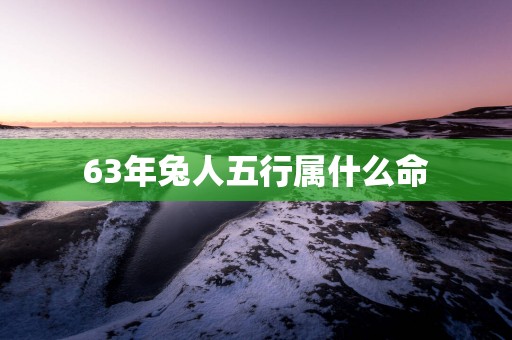 63年兔人五行属什么命