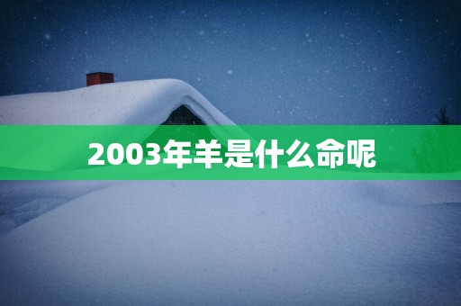 2003年羊是什么命呢