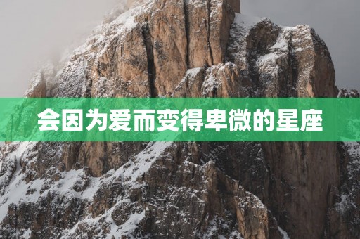 会因为爱而变得卑微的星座