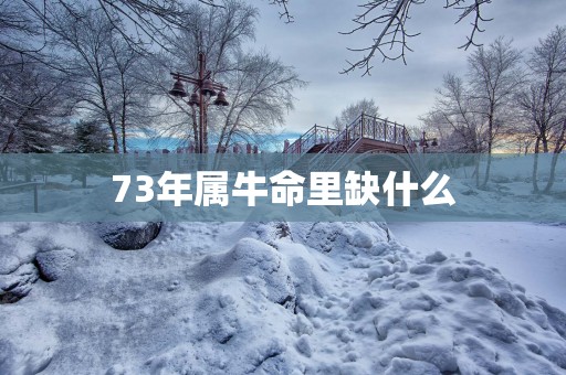 73年属牛命里缺什么