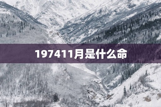 197411月是什么命