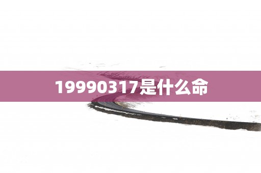19990317是什么命