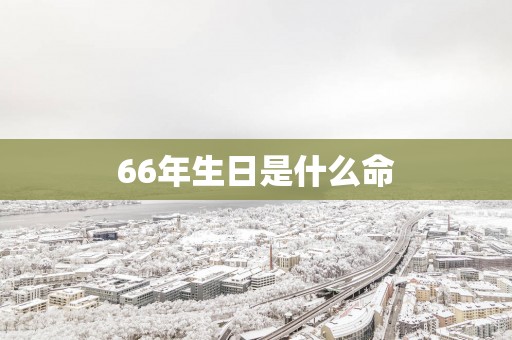 66年生日是什么命