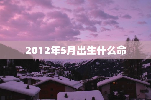 2012年5月出生什么命
