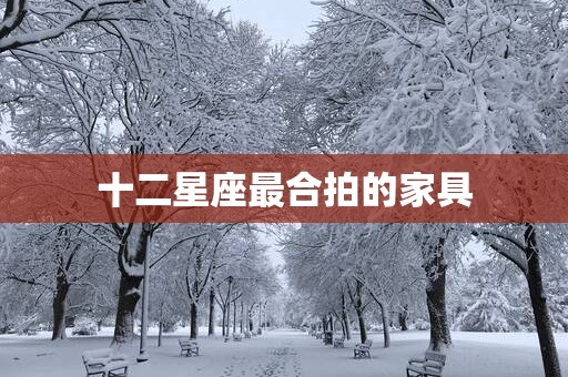 十二星座最合拍的家具