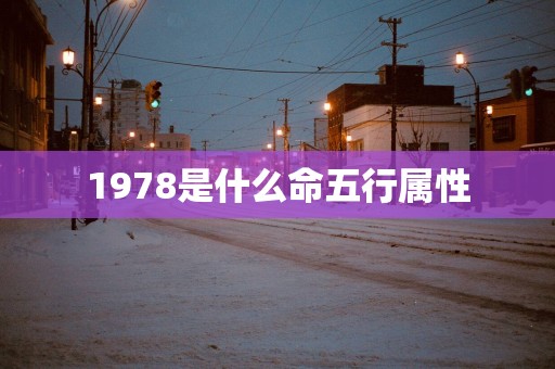 1978是什么命五行属性