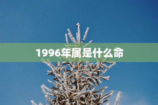 1996年属是什么命