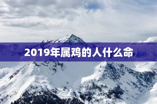 2019年属鸡的人什么命