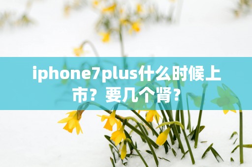 iphone7plus什么时候上市？要几个肾？