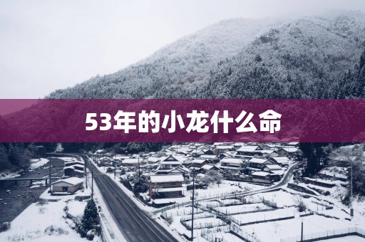 53年的小龙什么命