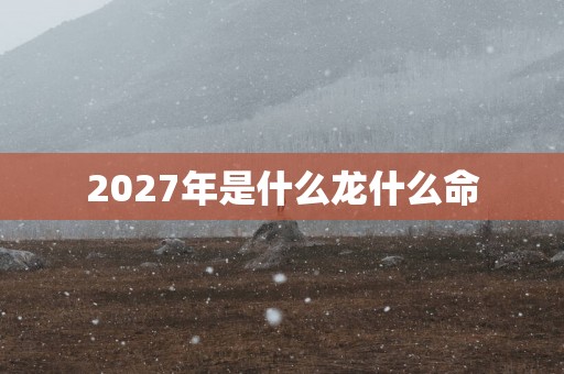 2027年是什么龙什么命