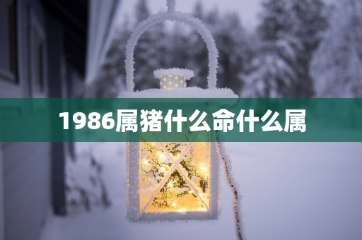 1986属猪什么命什么属