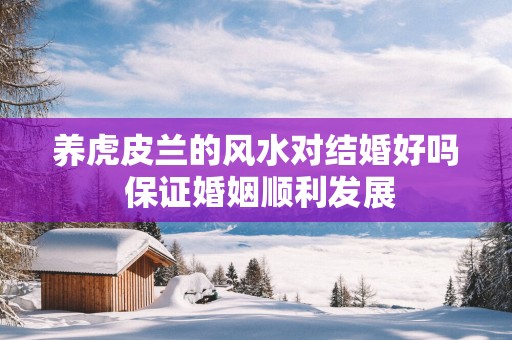 养虎皮兰的风水对结婚好吗 保证婚姻顺利发展