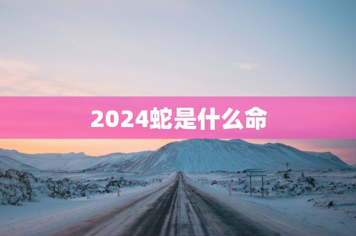 2025蛇是什么命