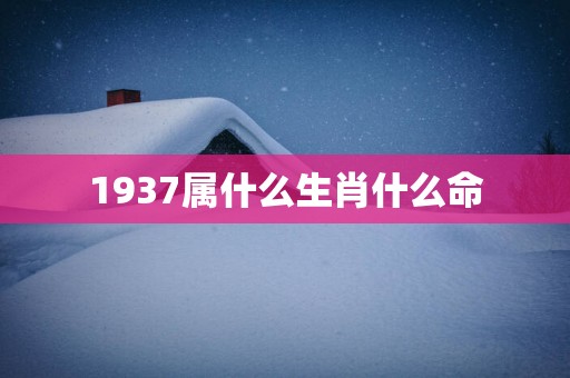 1937属什么生肖什么命