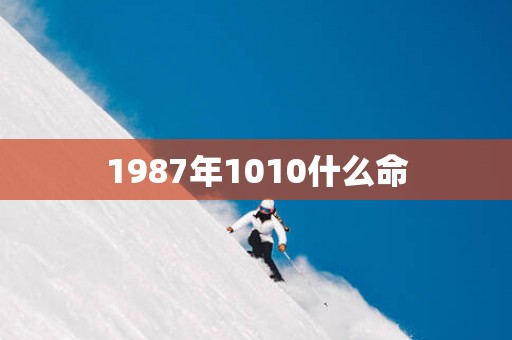 1987年1010什么命