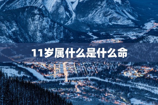 11岁属什么是什么命
