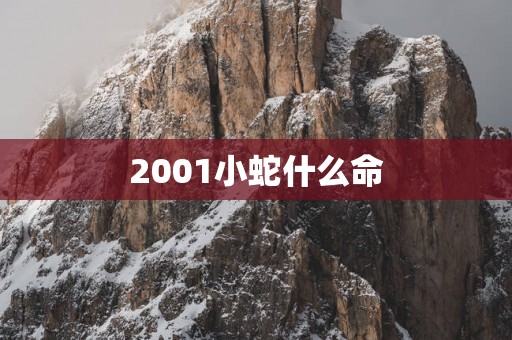 2001小蛇什么命