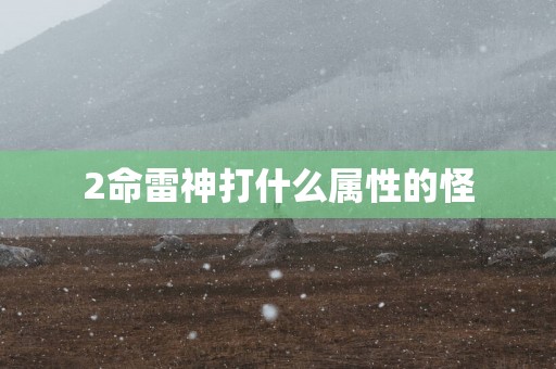 2命雷神打什么属性的怪