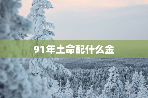 91年土命配什么金