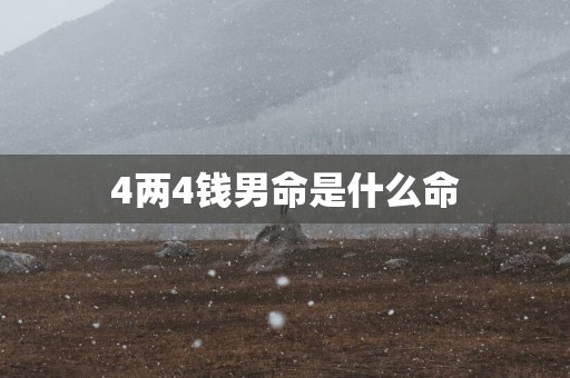 4两4钱男命是什么命