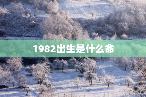 1982出生是什么命