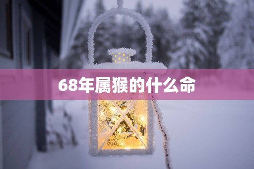 68年属猴的什么命