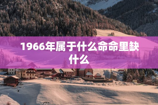 1966年属于什么命命里缺什么