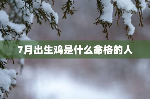 7月出生鸡是什么命格的人