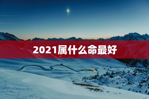 2025属什么命最好