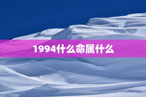 1994什么命属什么