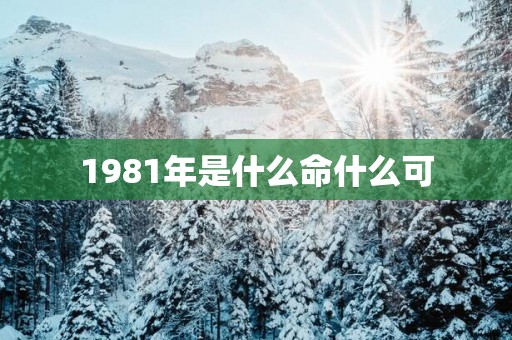 1981年是什么命什么可