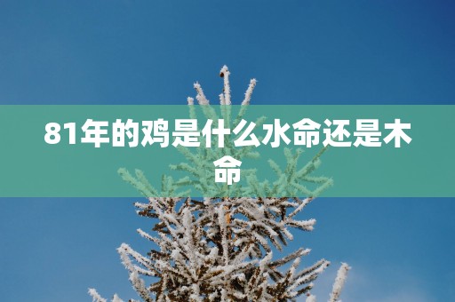 81年的鸡是什么水命还是木命