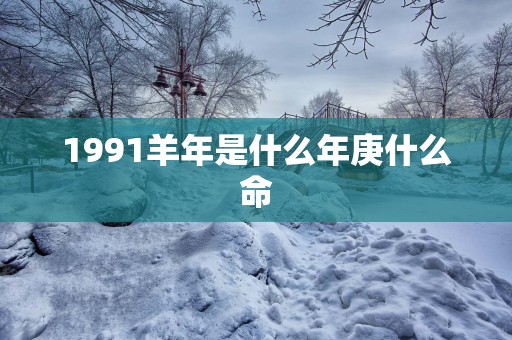 1991羊年是什么年庚什么命