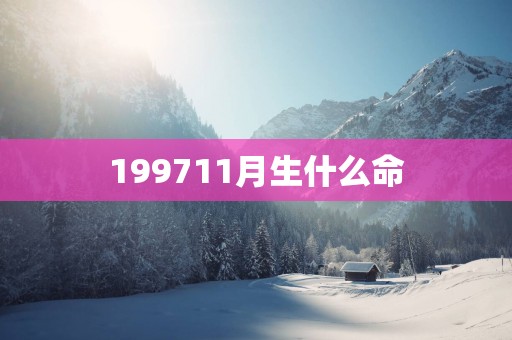199711月生什么命
