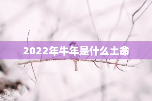 2022年牛年是什么土命