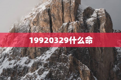 19920329什么命