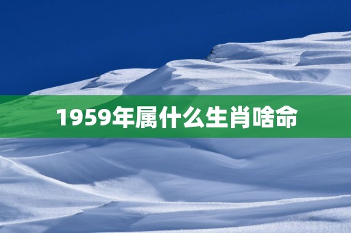 1959年属什么生肖啥命