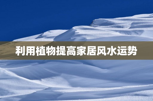 利用植物提高家居风水运势