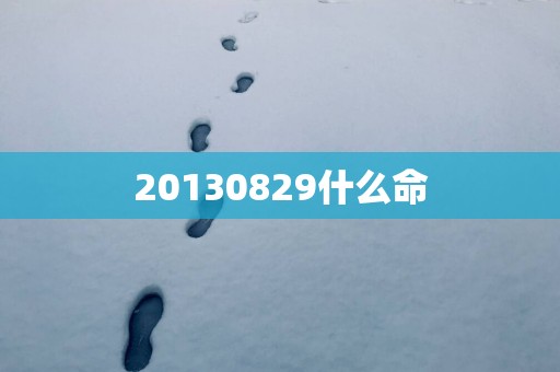 20130829什么命